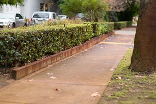 Afootpathborderedwithahedge