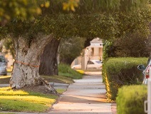 RoadsandFootpaths4