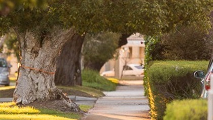RoadsandFootpaths4