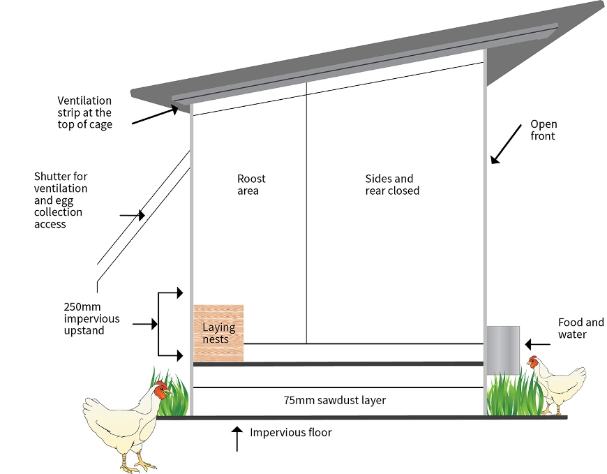 Diagram of a recommended poultry shed design