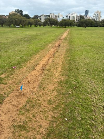 Newly installed irrigation in turf.