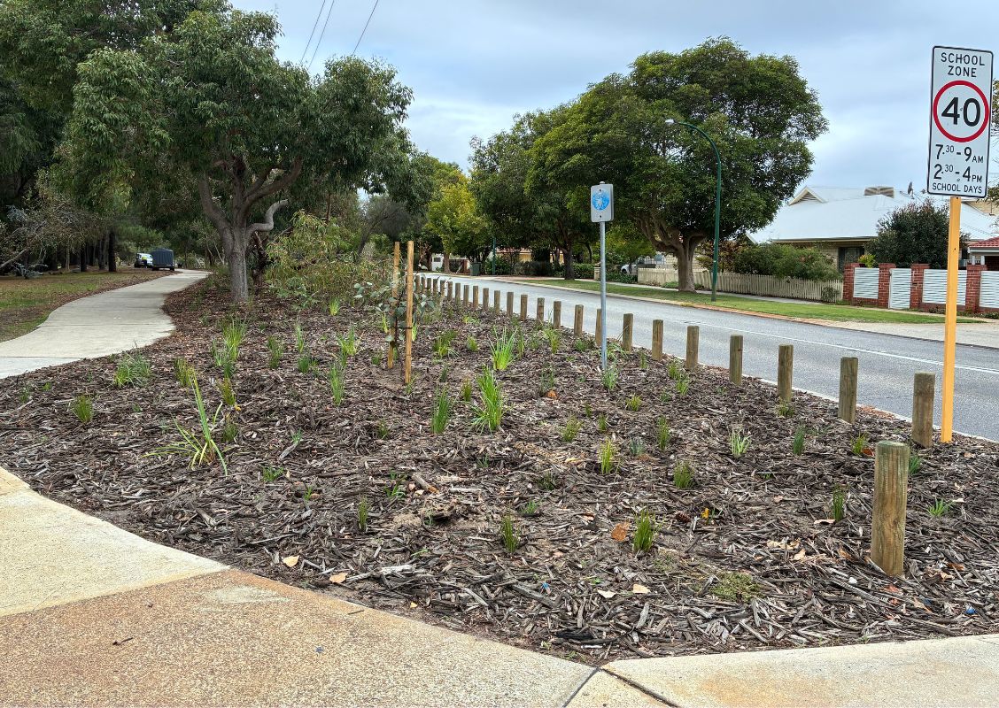 Waterwise landscaping and mulched garden beds at the Henley Street verge