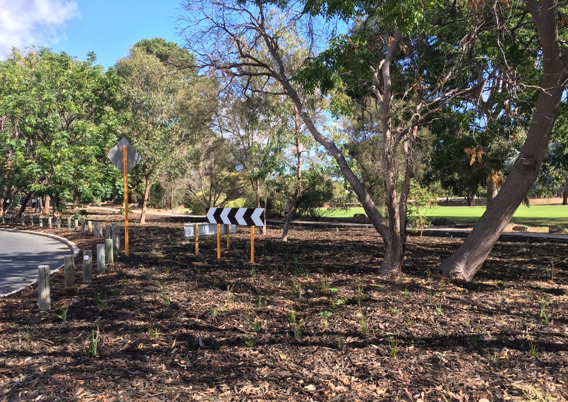 Waterwise landscaping and mulched garden beds at the Henley Street verge