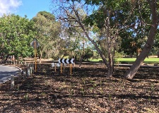 Waterwise landscaping and mulched garden beds at the Henley Street verge