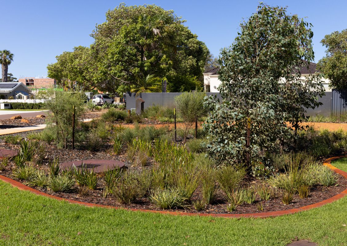 The completed Godwin Avenue sump in May 2026 with waterwise native landscaping and mulched garden beds