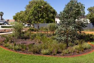 ThecompletedGodwinAvenuesumpinMay2026withwaterwisenativelandscapingandmulchedgardenbeds