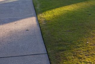 Closeupofanewfootpath