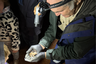 Childrenlookingatfrogheldbyamanwearingaheadlamp