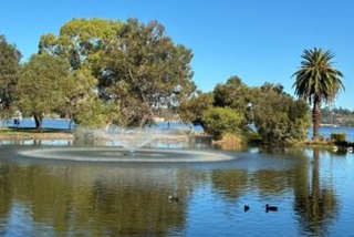 TheaeratorinLakeHurlingham