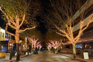 ThetreesonMendsStreetlitupwithfairylights