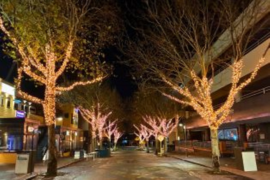ThetreesonMendsStreetlitupwithfairylights