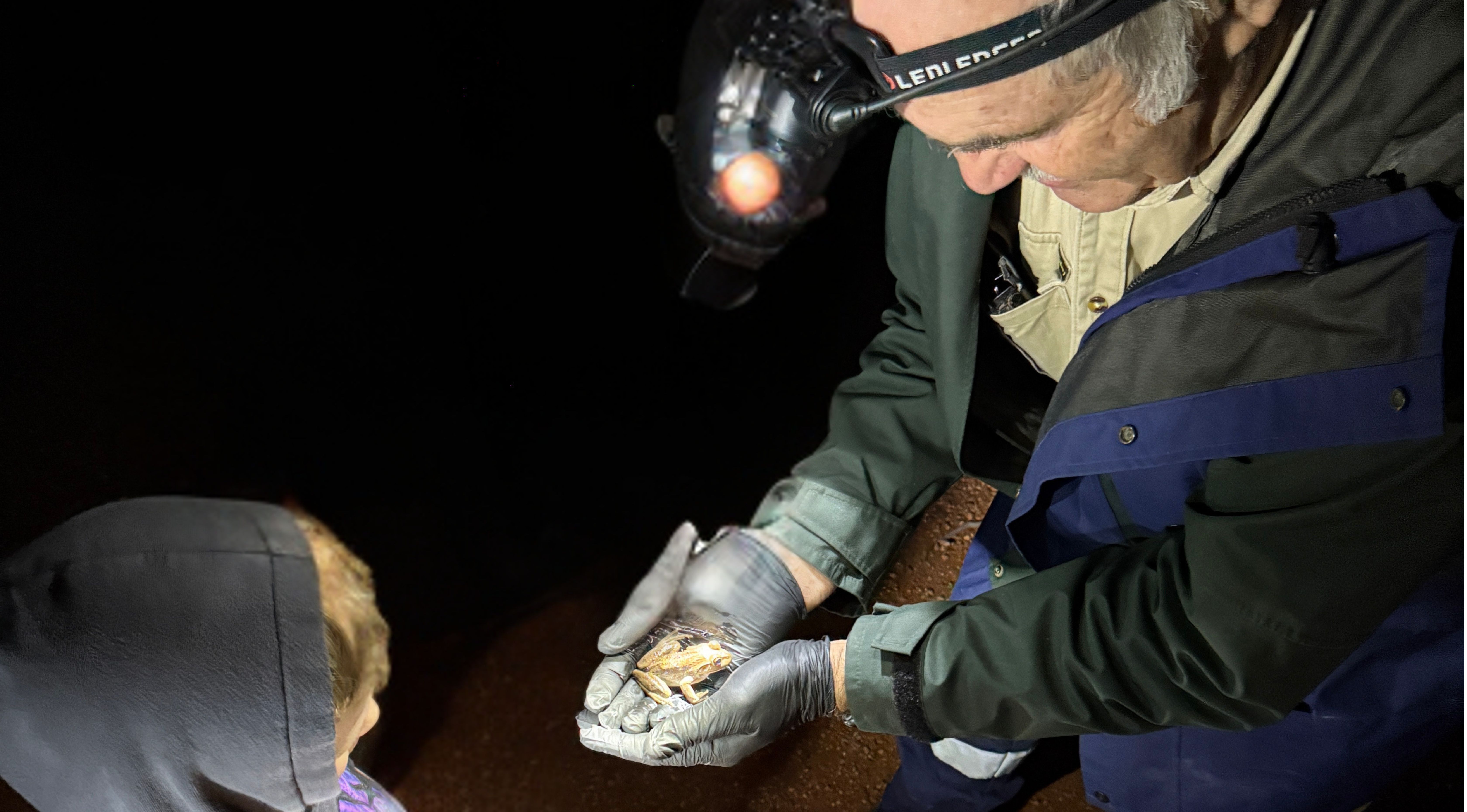 Joe Tonga wearing a head lamp and holding a frog