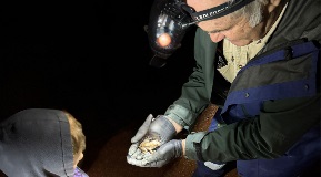 Joe Tonga wearing a head lamp and holding a frog