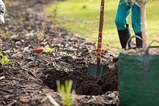 Aholdbeingdugwithpotplantsnearby