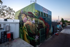 A wall mural of a woman covering two walls with florals in her hair and around her body.