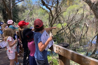 AgroupofchildrenareexploringtheSouthPerthWetlandspointingtowhattheycanseeoffawoodenbridgeTheyarelookingtowardsaswamp-likelakewithlotsofgreeneryandshrubs