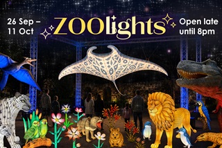 Illuminated3DanimalswithtextthatreadsZoolightsOpenlateuntil8pm