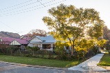 Aphotoofalocalhomewithalargetreeinthefrontyard