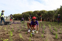 Manning Primary planting at Elderfield Wetlands