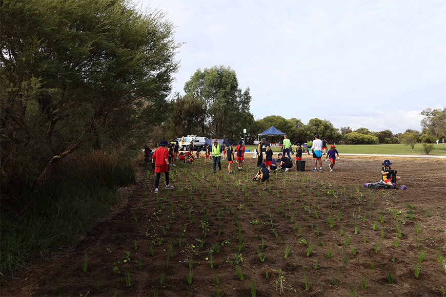 Manning Primary planting at Elderfield Wetlands