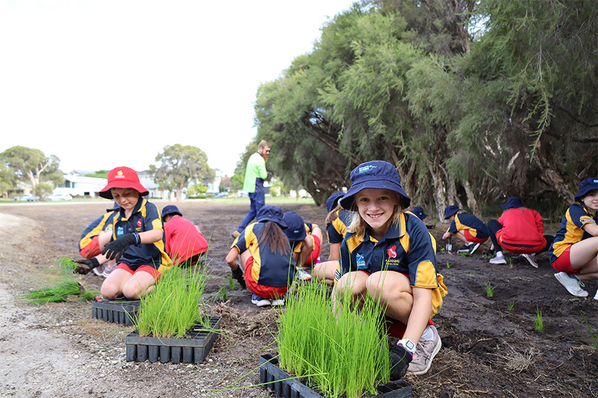 Manning Primary planting at Elderfield Wetlands