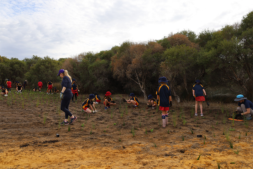 Manning Primary planting at Elderfield Wetlands