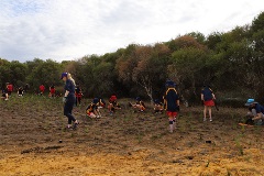 Manning Primary planting at Elderfield Wetlands