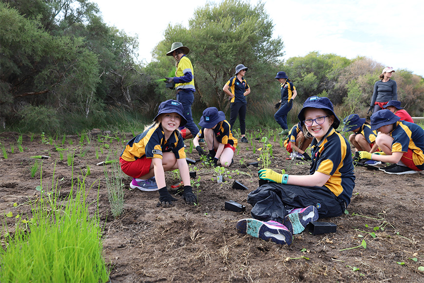 Manning Primary planting at Elderfield Wetlands