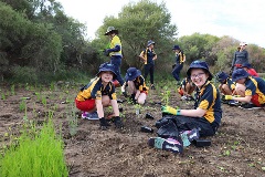 Manning Primary planting at Elderfield Wetlands