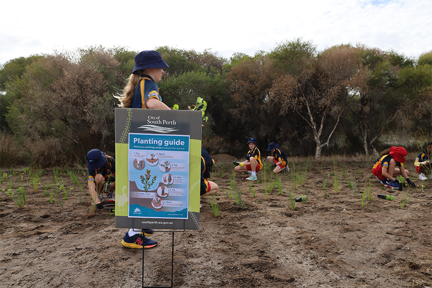 Manning Primary planting at Elderfield Wetlands