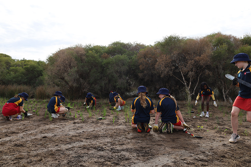 Manning Primary planting at Elderfield Wetlands