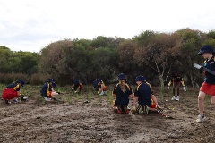 Manning Primary planting at Elderfield Wetlands