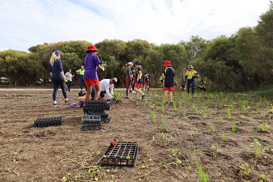 Manning Primary planting at Elderfield Wetlands