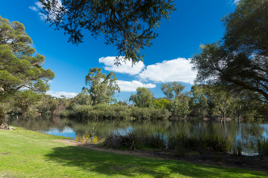 Neil McDougall lake