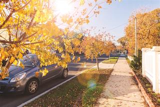 autumn leaves streetscape