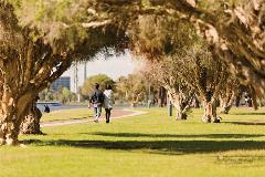 Untitled-10
