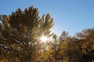 Untitled-11