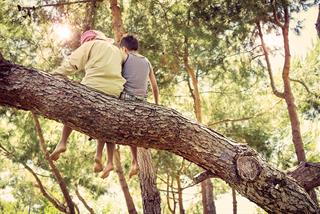 Urban Forest Strategy