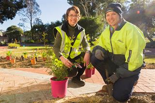 Winter planting