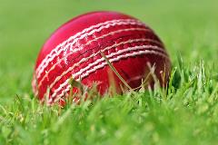 cricket ball