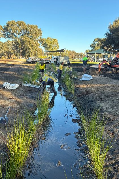 Planting Stage 2 of the Hurlingham Living Stream